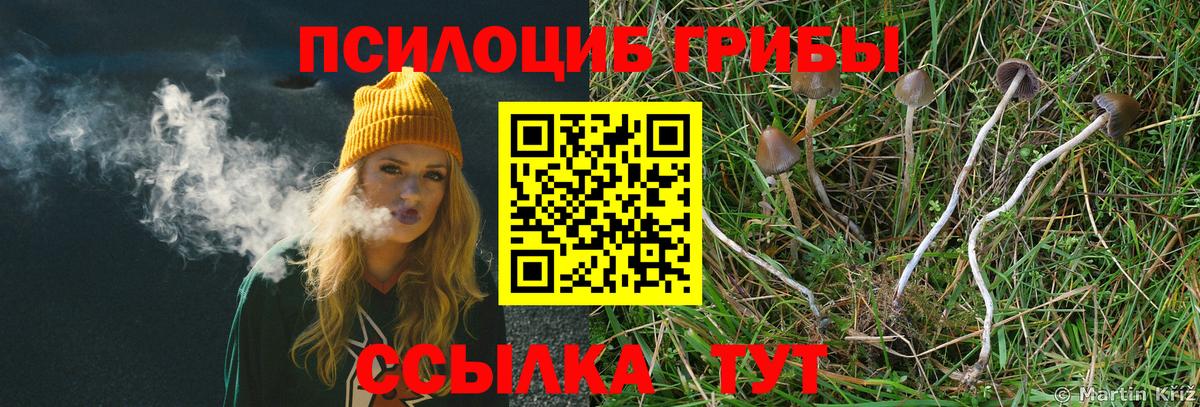 Псилоцибиновые грибы MAGIC MUSHROOMS  Вход с VPN  Камышлов 