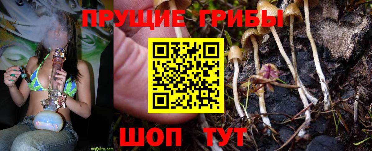 Псилоцибиновые грибы MAGIC MUSHROOMS Камышлов
